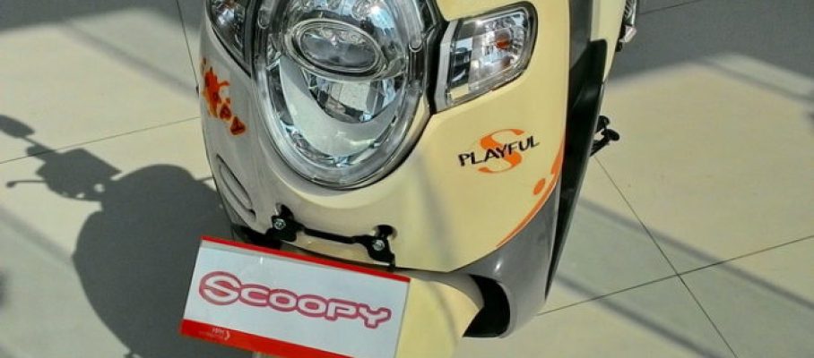 new scoopy playful cream