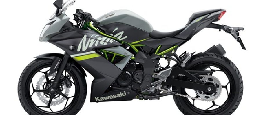 ninja-250sl-2019_motomaxone.com