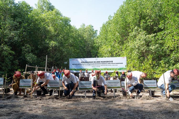 Peringati Hari Lingkungan Hidup Sedunia, Yayasan AHM dan MPM Honda Jatim Tanam Puluhan Ribu Mangrove di Banyuwangi.